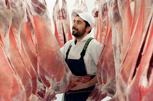 Der Anstieg des Konsums von Halal-Fleisch in Europa, die Bedeutung der Handzerlegung